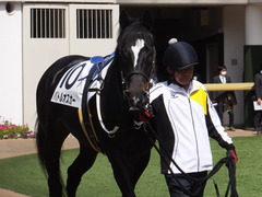 20170312 中山5R 3歳未勝利 バトルオスカー 07