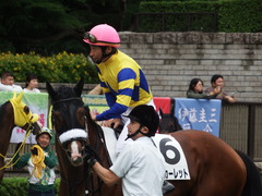 20180616 東京6R 3歳未勝利 ロジスカーレット 17