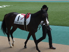 20141025 東京5R ロジダーリング 05