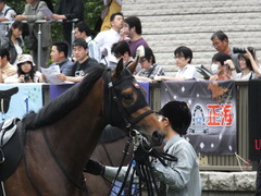 20140517東京9R オウケンブラック 09