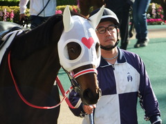 20171126 東京1R 2歳未勝利 サラート 08