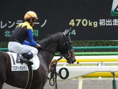 20150620 東京5R 2歳メイクデビュー プロディカルサン 15
