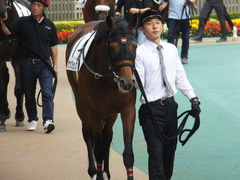 20141026 東京8R オウケンブラック 03