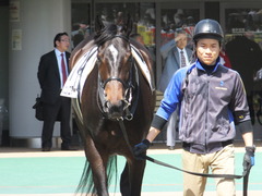 20150426 東京1R 3歳未勝利 ジュンコアー 05