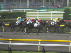 20140628 東京2R トマトリコピン 12