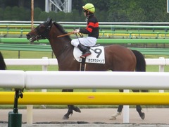 20170618 東京4R 3歳未勝利 ホウオウジャンプ 15