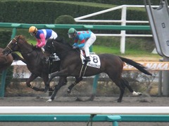 20151213 中山8R 3歳上500万下 ヴィルトグラーフ 11