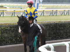 20150222 東京4R 3歳未勝利 ロジダーリング 09