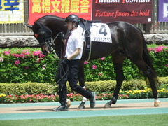 20190504 東京4R 3歳未勝利 ショウナンサジン 03