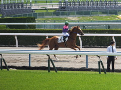 20150425 京都3R 3歳未勝利 モーグリ 12