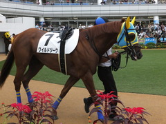 20161001 中山4R 3歳上障害未勝利 ワイルドジーク 11