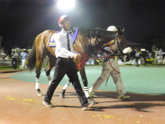 20140730 大井11R 重賞 グランディオーソ 02