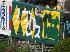 20140504 京都11R 天皇賞春 サトノノブレス 01