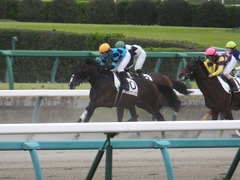 20180407 中山6R 3歳未勝利 エイカイオリンピア 11