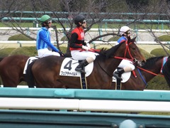 20170311 阪神3R 3歳メイクデビュー フェアチャイルド 33