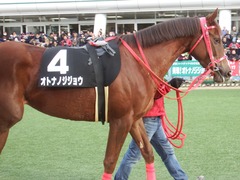 20190106 中山10R ジュニアC(L) オトナノジジョウ 05