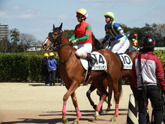 20180317 中山6R 3歳未勝利 リベラシオン 17