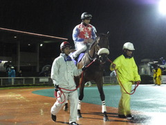 20141022 大井11R マイルGP(S2)グランディオーソ 06
