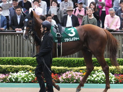 20161008 東京11R サウジアラビアRC(G3) クライムメジャー 11