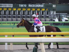 20181020 東京12R (1000) ノーモアゲーム 20
