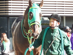 20171228 中山4R 2歳未勝利 アイコンタクト 16