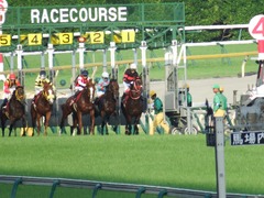 20180527 東京12R 目黒記念(G2) ホウオウドリーム 27
