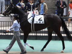 20160514 東京5R 3歳牝馬未勝利 ツボミ 03