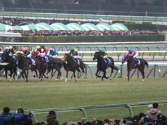 20141228 中山10R 有馬記念 サトノノブレス 11