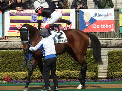 20190209 東京3R 3歳未勝利 シホノフォルテ 15