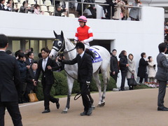 20151227 中山10R 有馬記念(G1) ゴールドシップ 13
