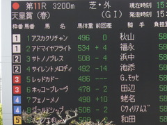 20140504 京都11R 天皇賞春 サトノノブレス 02
