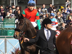 20170325 中山11R 日経賞(G2) マイネルサージュ 14