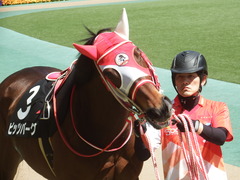 20190428 東京9R 陣馬特別(1000) ピッツバーグ 08
