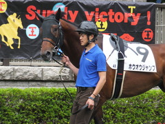 20170618 東京4R 3歳未勝利 ホウオウジャンプ 03