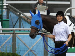 20150927 中山3R 3歳未勝利 タニオブキャップ 03