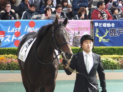 20161027 東京3R 2歳未勝利 パリンジェネシス 05
