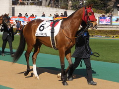 20150221 東京1R 3歳未勝利 フレンドマキシマム 01