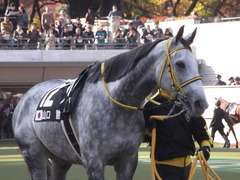 DSCF0918
