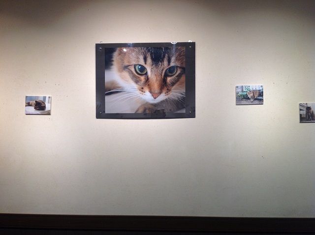 MAIKOさん写真2
