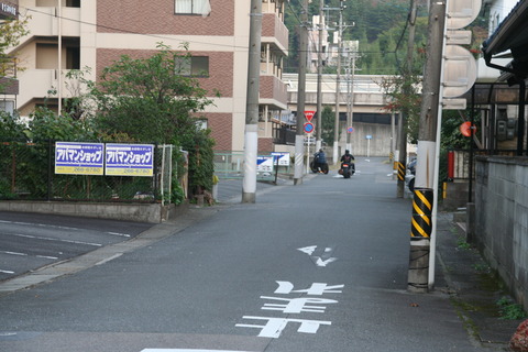オレラクダ写真２ 027