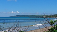 DSC_0660 (1)