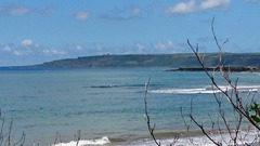 DSC_0516 (1)