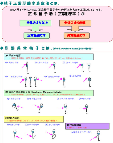 seishikensa3
