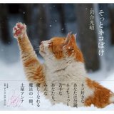 そっとネコぼけ