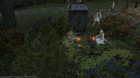 ffxiv_20140106_130813
