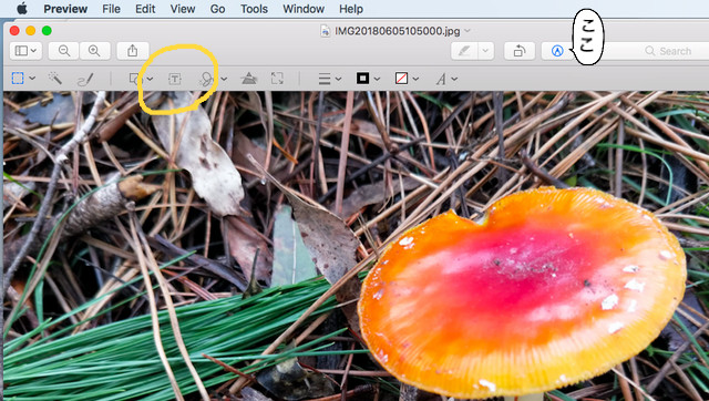 Markup tool bar