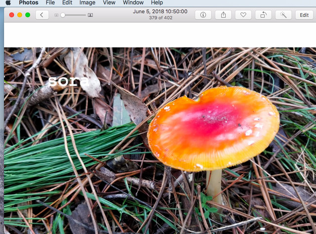 iphoto