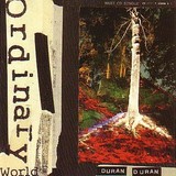 ordinary world