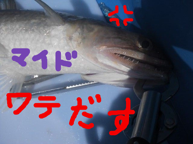 BlogPaint