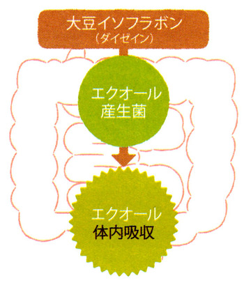 名称未設定 1